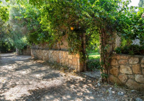 Cozy and Secluded House with Private Pool and Garden in Bodrum